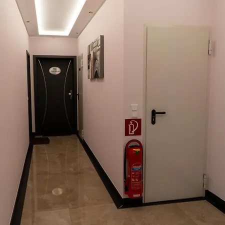 Orchidee Preußisch Oldendorf